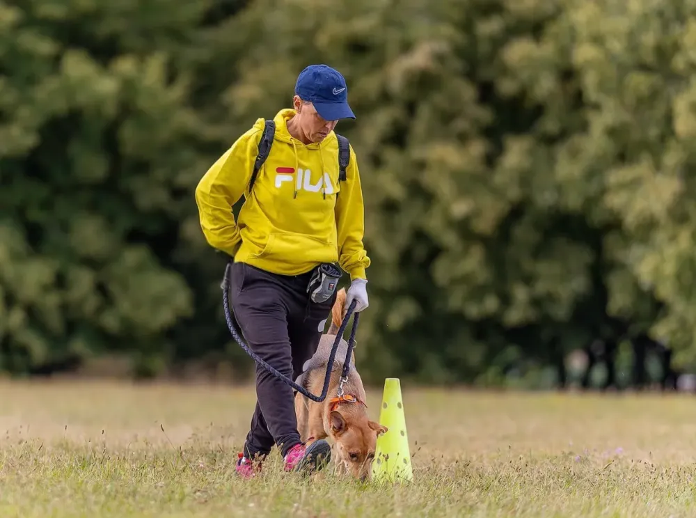 élevage canine à Aniche