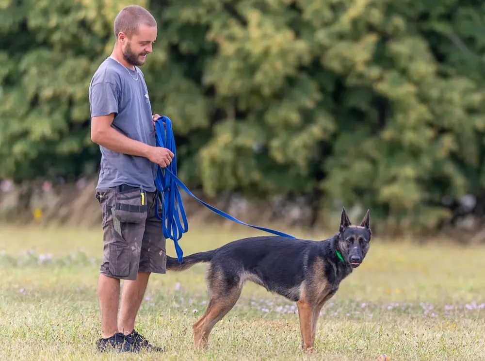 éleveur de chien à proximité à Aniche