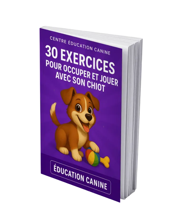 30 exercices