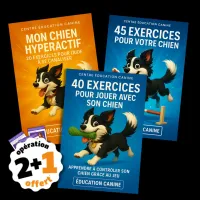 pack 3 ebook (4)