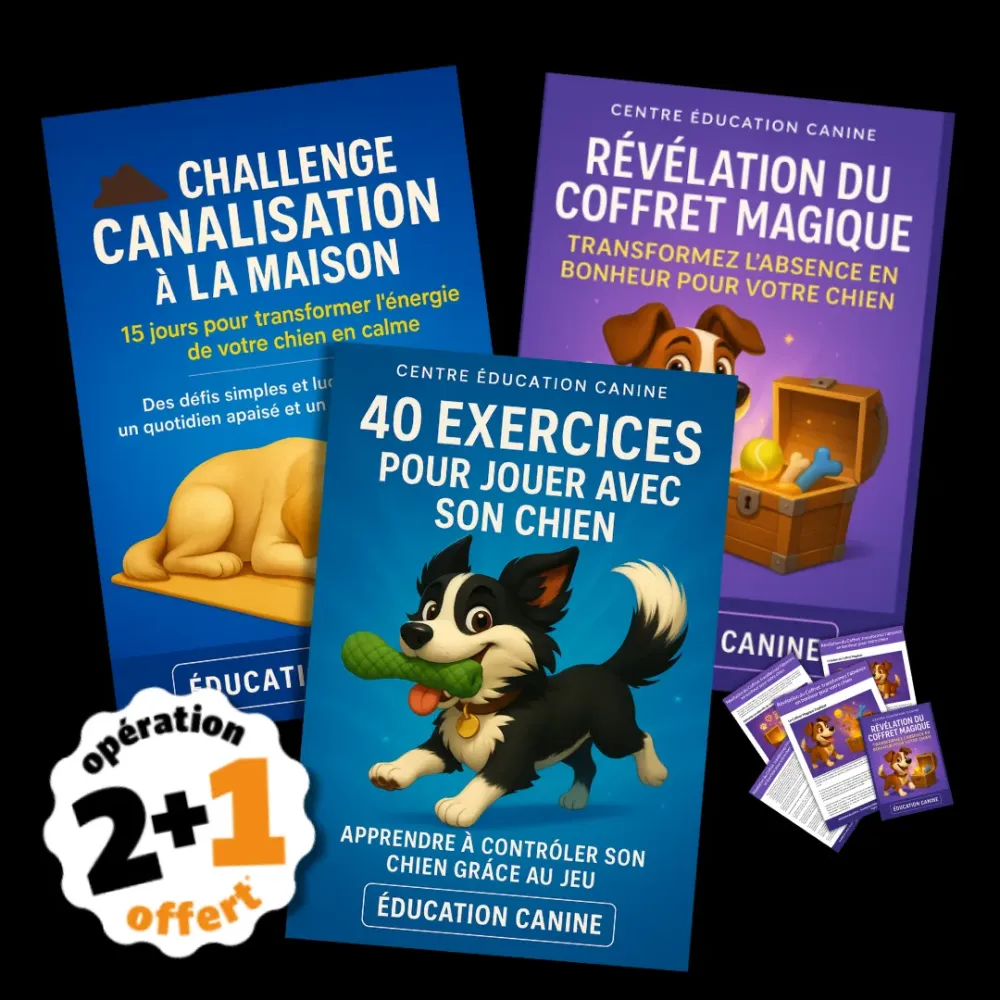 Pack trio transformer la vie avec votre chien