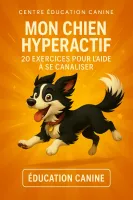 education et canalisation (1)