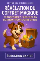 transformer la vie (2)